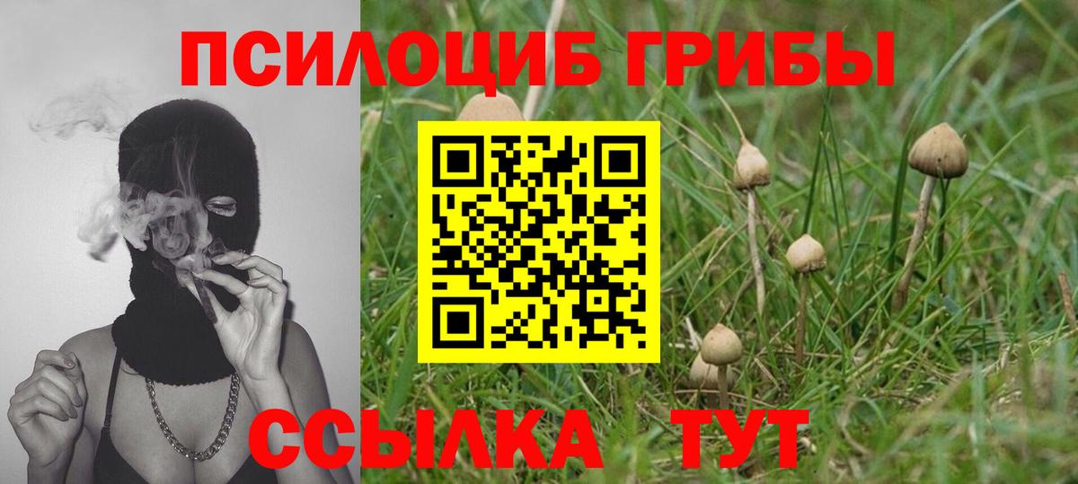 Псилоцибиновые грибы Magic Shrooms Нижний Тагил